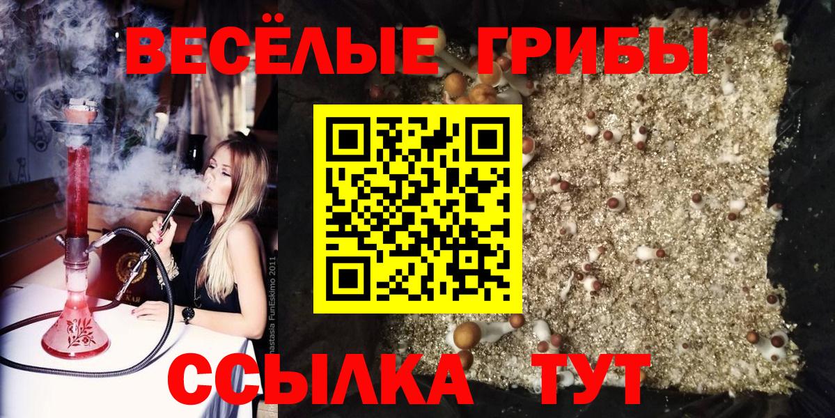 Галлюциногенные грибы Psilocybe Комсомольск-на-Амуре